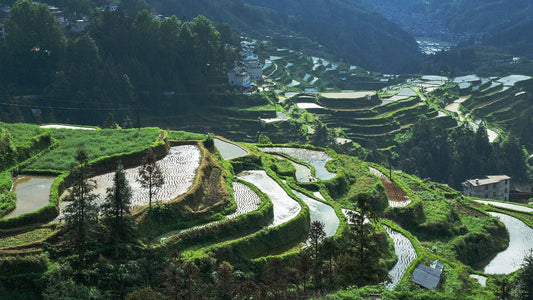 The Architecture of Self-Care: Lessons from a 1,000-Year-Old Dong Village - Elsvart